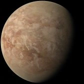 Androgeus orbital view